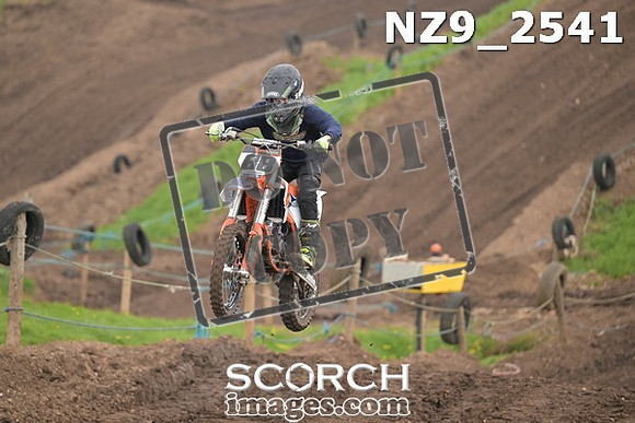 NZ9_2541