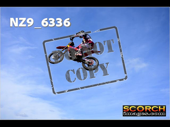 Experts-181