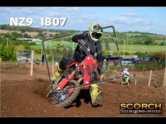 Experts-231