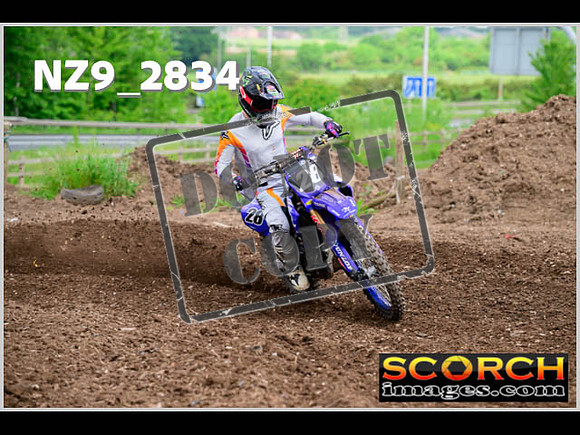 Apex Sun 28-May Experts-222