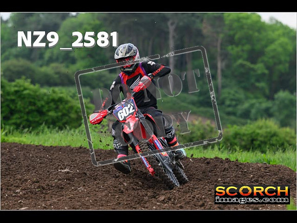 Experts-029