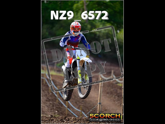 IntersGreen-127
