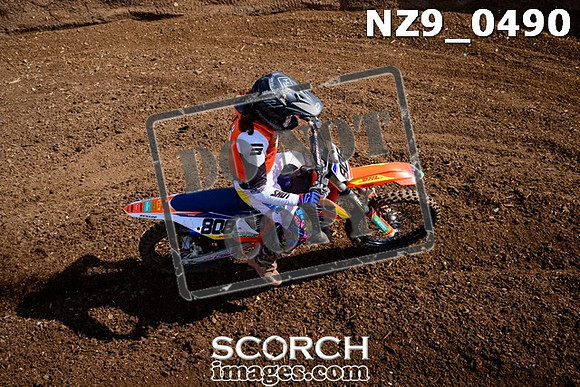 NZ9_0490