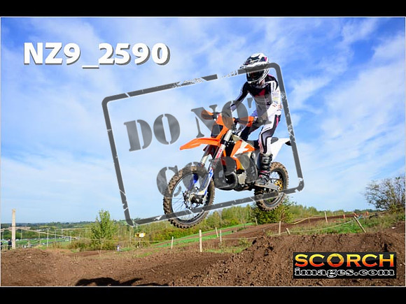 Experts-045