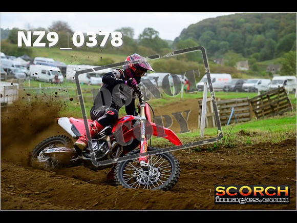 Experts-326