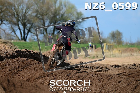 NZ6_0599