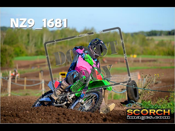 Experts-113