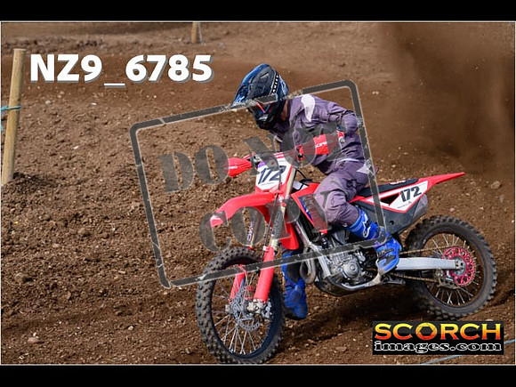 Experts-282