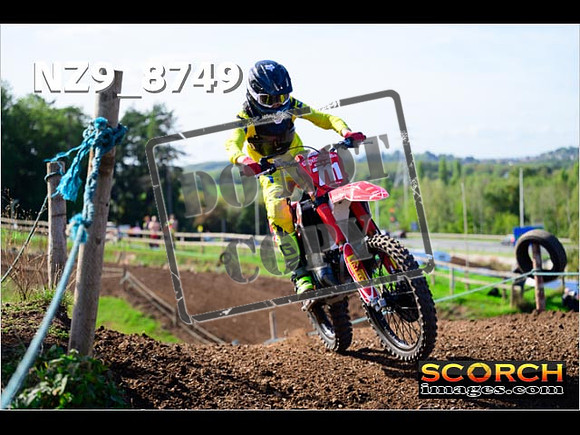 Experts-250