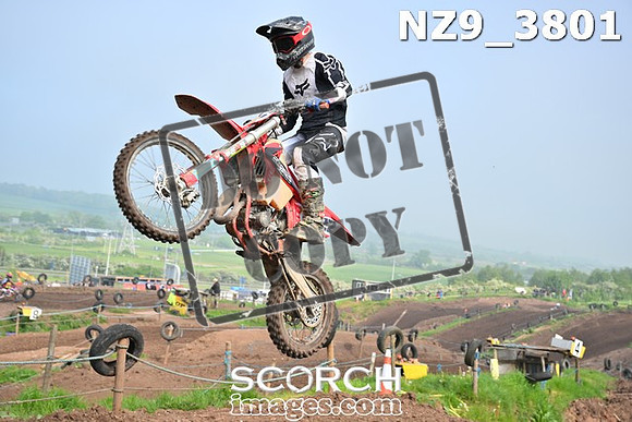 NZ9_3801