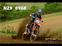 Experts-014