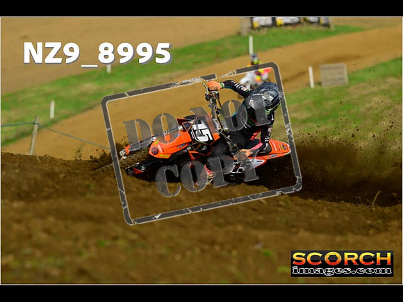 Experts-040