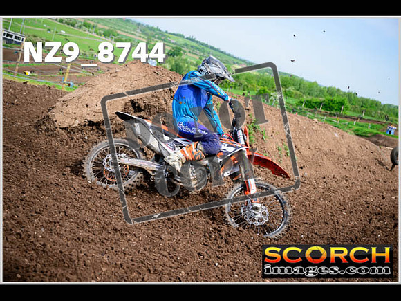 Experts-086