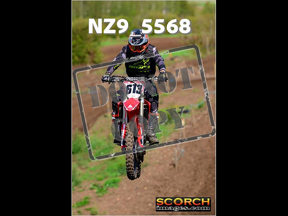 Inters-225