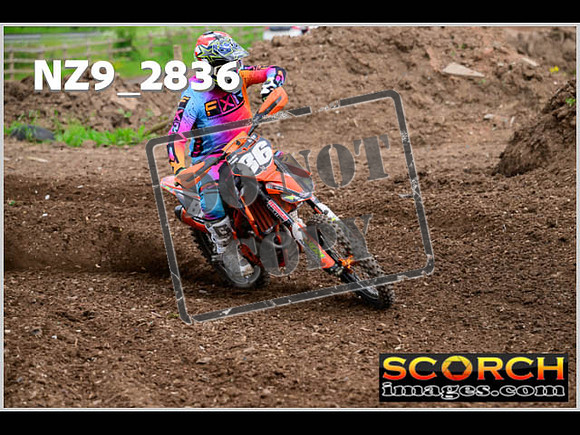 Apex Sun 28-May Experts-224
