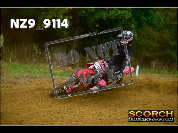 Experts-155