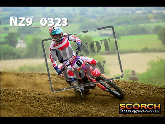 Experts-275