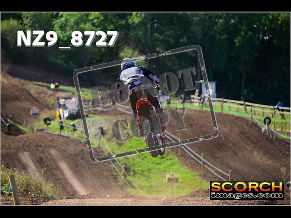 Experts-229