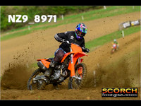 Experts-017