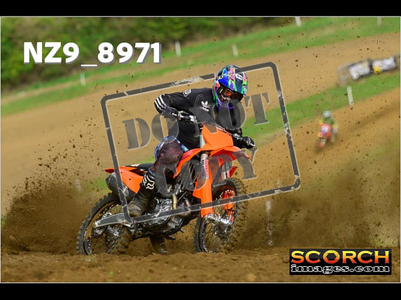 Experts-017