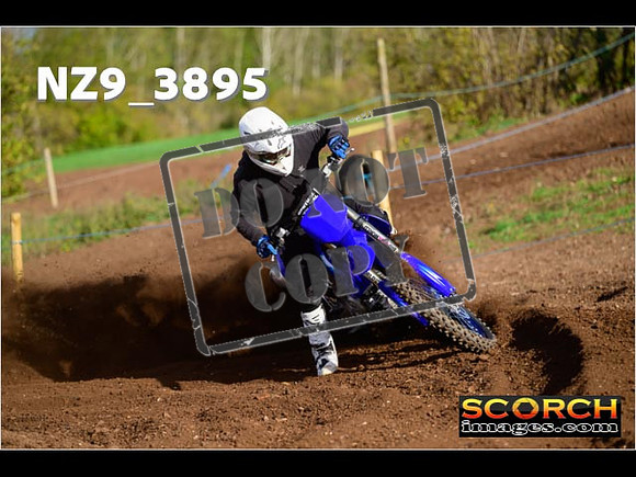 Experts-041