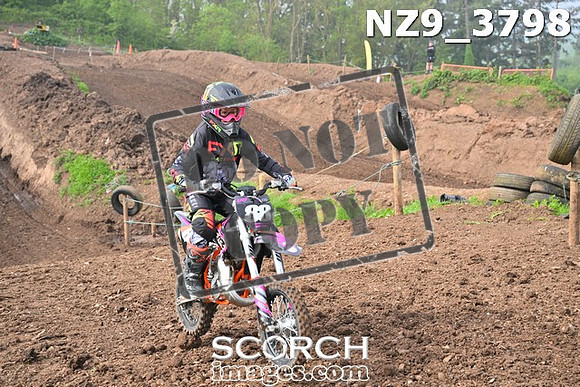 NZ9_3798