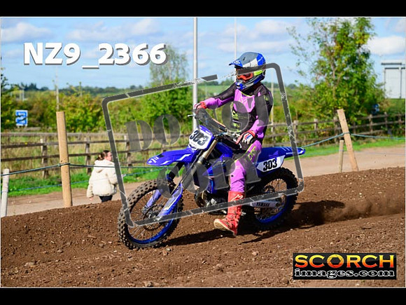 Experts-327