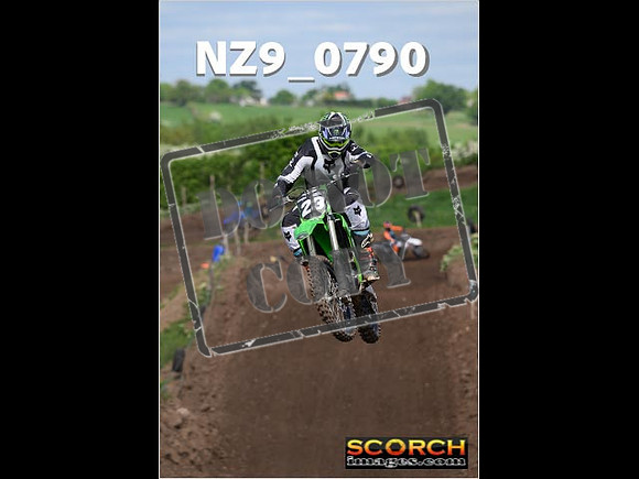 IntersGreen-322