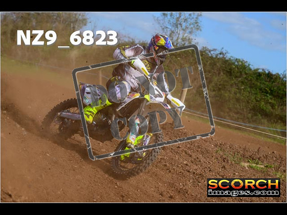 Experts-318