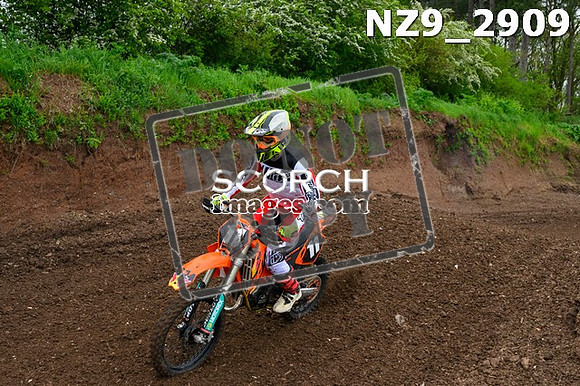 NZ9_2909