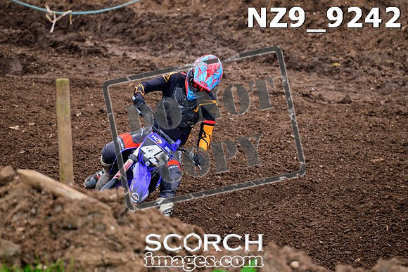 NZ9_9242