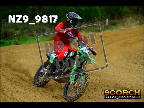 Experts-237