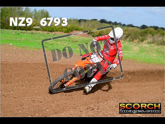 Experts-290