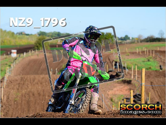 Experts-221