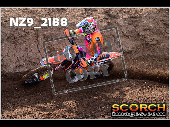 Apex Sun 28-May Experts-004