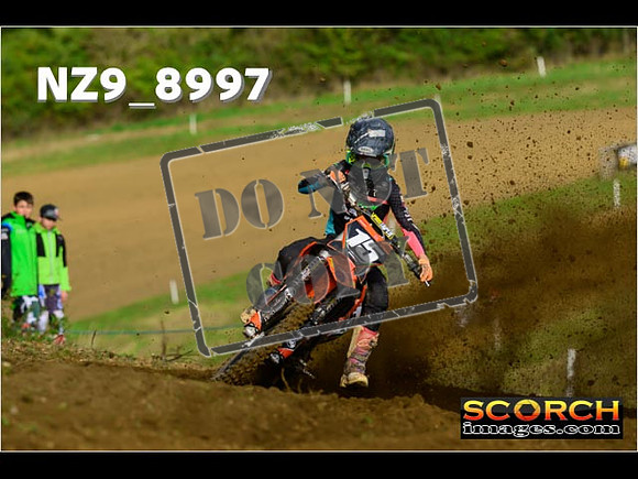 Experts-042