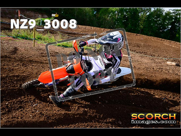 Experts-202