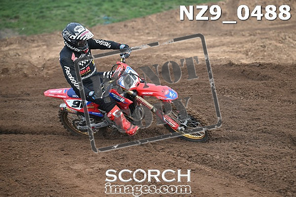 NZ9_0488