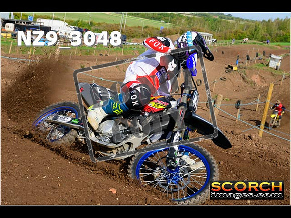 Experts-241