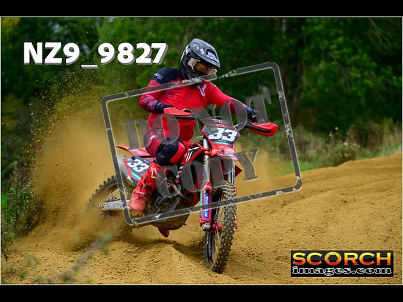 Experts-246