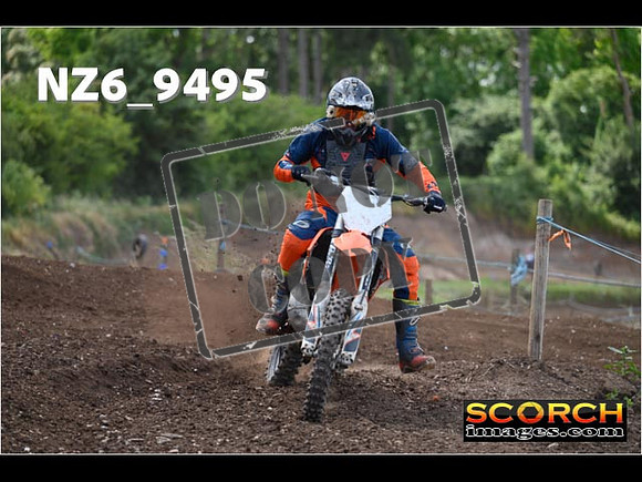 Experts-259