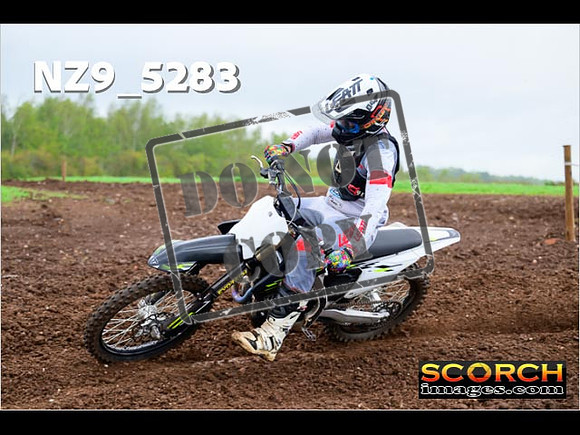 Experts-033