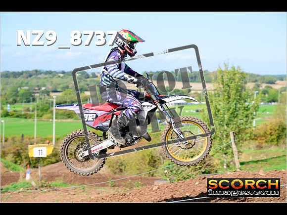 Experts-239