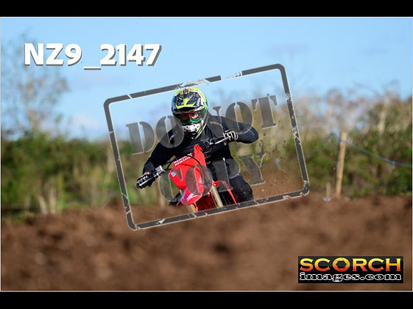 Experts-277