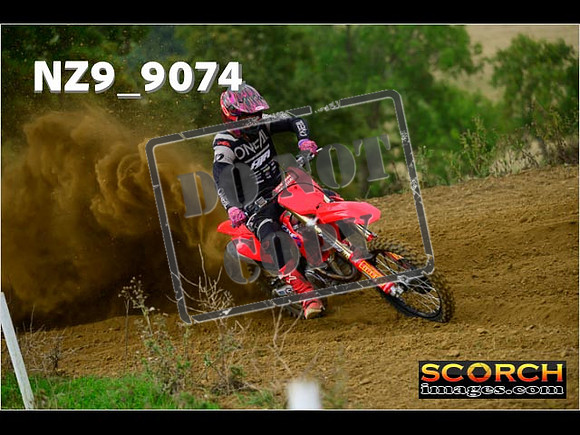 Experts-117