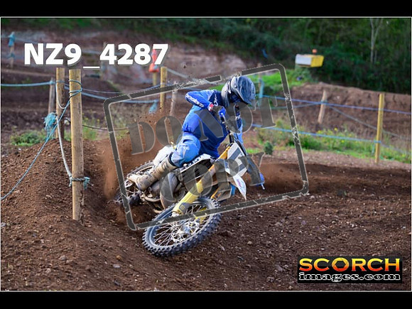 Experts-149