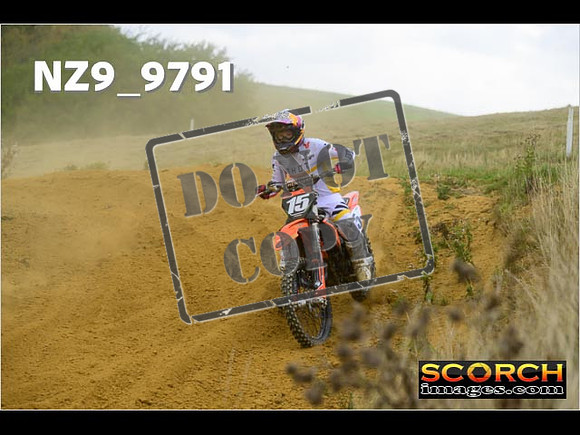 Experts-213