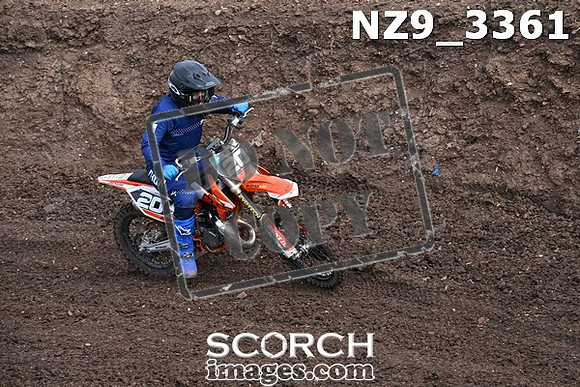 NZ9_3361