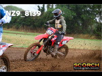 Experts-010