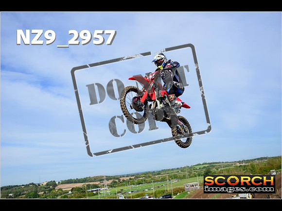Experts-156